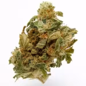 Master Kush