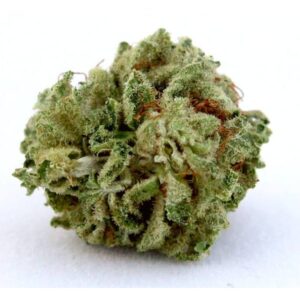Boutons floraux Kush
