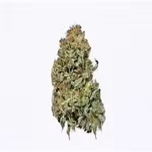 Platinum Bubba