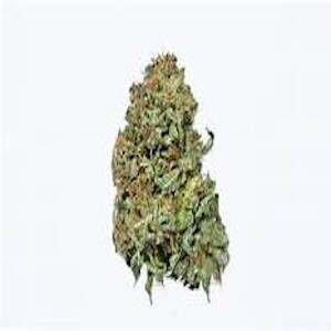 Platinum Bubba