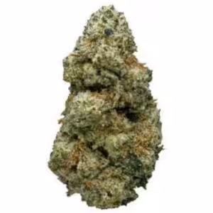 alaskan thunder fuck