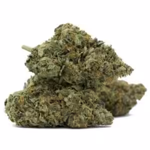mk ultra