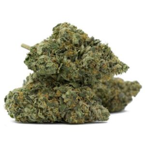 MK Ultra
