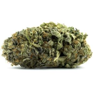 Kush rose