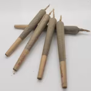 pre roll xl 5 pc