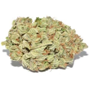 Purple Kush