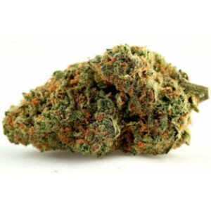 Cannabis hybride Skunk