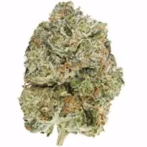 tom ford kush