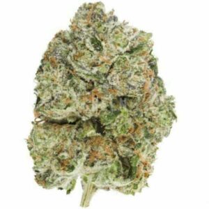 Tom Ford Kush