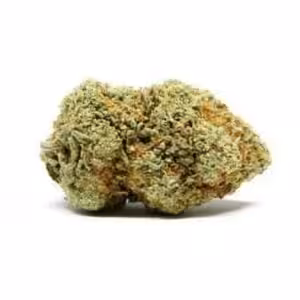 white castle strain