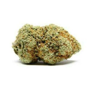 Variété White Castle