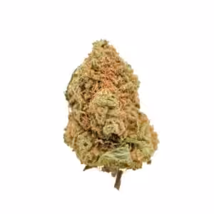 Killer Skunk