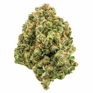 Durban Poison AAAA