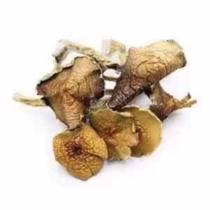 Mushrooms