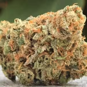 maui wowie marijuana bud strain