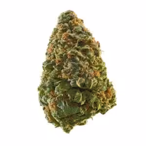 green crack strain weed