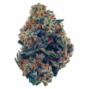 the original z strain marijuana