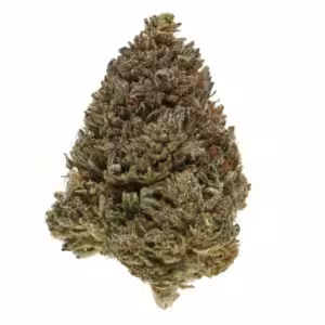 bubba kush marijuana bud