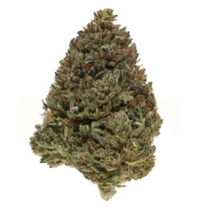 Bourgeon de marijuana Bubba Kush