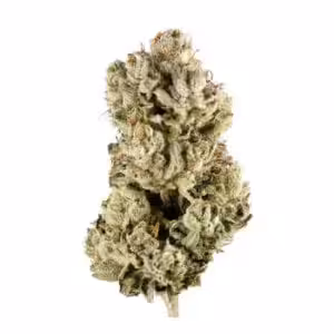 gorilla glue weed