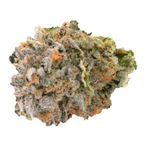 Justin Trudeau Kush