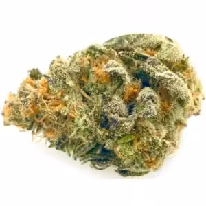wizard punch weed cannabis strain