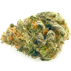 variété de cannabis wizard punch weed