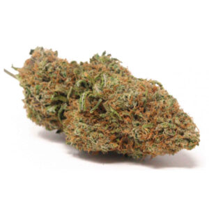 Variété Gelato Punch Weed