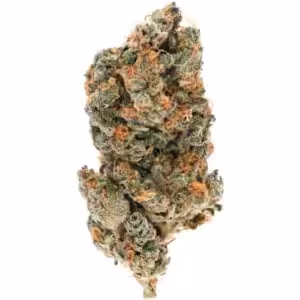 purple punch cannabis strain buds