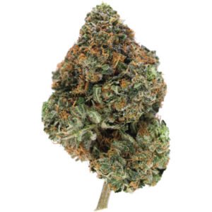 Cannabis Cali Bubba