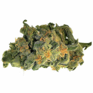 Variété de marijuana grandaddy purple