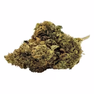 island sweet skunk cannabis
