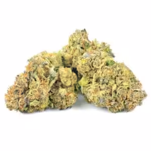 astro pink cannabis strain flower