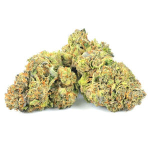 Fleur de variété de cannabis Astro Pink