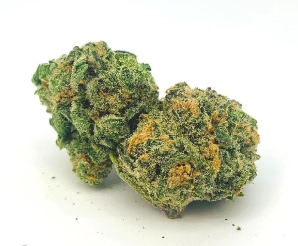 Souche Blue Dream