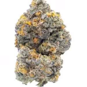gary payton cannabis strain