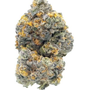 Variété de cannabis Gary Payton