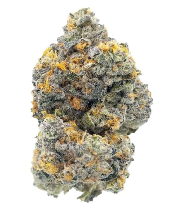 Variété de cannabis Gary Payton