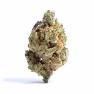 grandmommy purple indica cannabis strain
