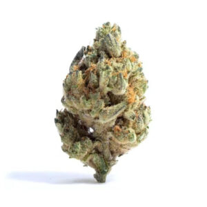 Variété de cannabis Grandmommy Purple Indica