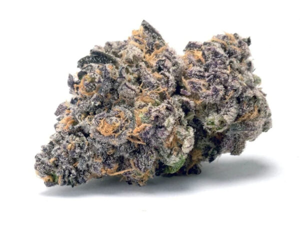 Variété de cannabis Jealousy
