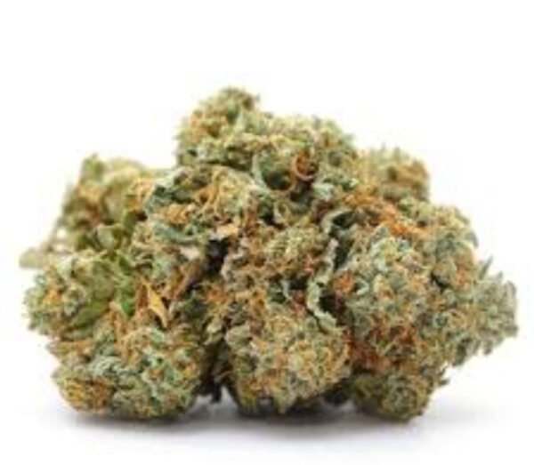 Variété de cannabis King Louis Indica
