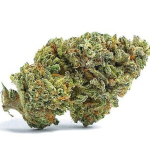 Variété de cannabis Sour Garlic