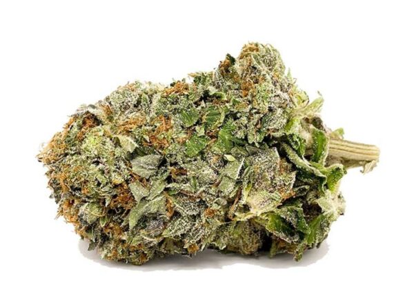 Variété Tuna Kush