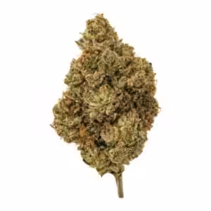 orange slushie strain