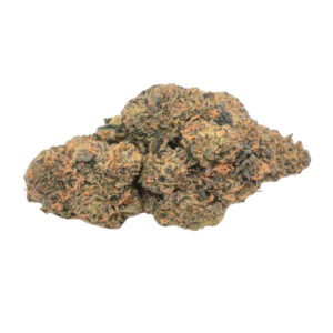Variété de fleurs de cannabis Animal Face