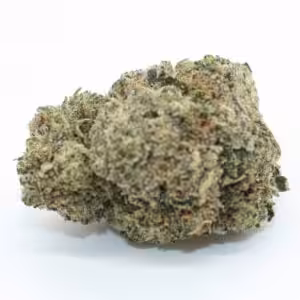 black truffle weed strain