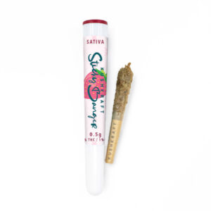 Kushkraft Sativa Sticky Bangers Package et pré-roulage de joints