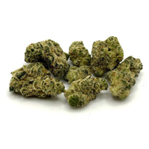 Variété Black Cherry Punch