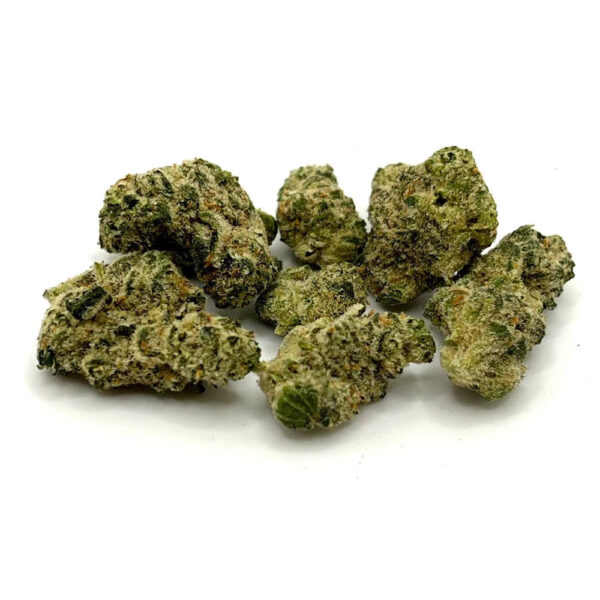 Variété Black Cherry Punch